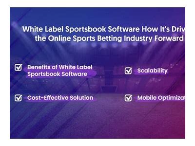 Comprehensive Review and Guide to Willbet PA Online Sportsbook Platform Features and Benefits