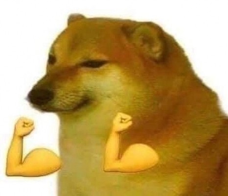 cheese狗图片