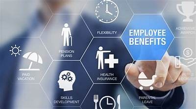 How to Easily Sign In to Your My Willbet Rewards Account for Exclusive Benefits