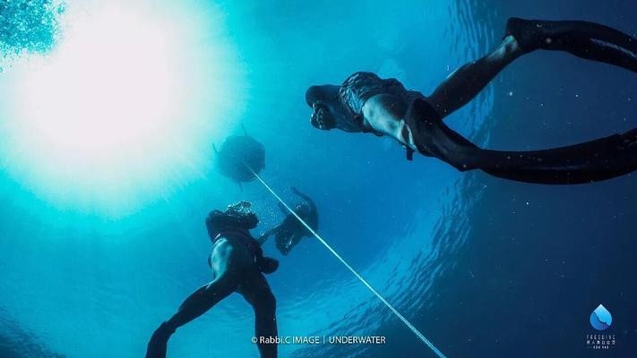 freediving是什么意思