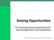 seizing opportunities