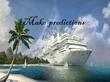 make predictions翻译