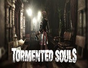 tormentedsouls金手指