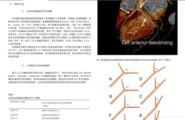 英语文件翻译成中文在线