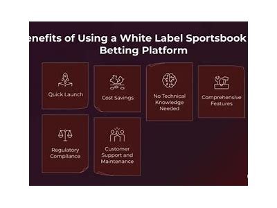 Comprehensive Review and Guide to Willbet PA Online Sportsbook Platform Features and Benefits