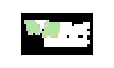 Willbet MX Comprehensive Online Sports Betting Platform with Live Casino and Secure Payment Options