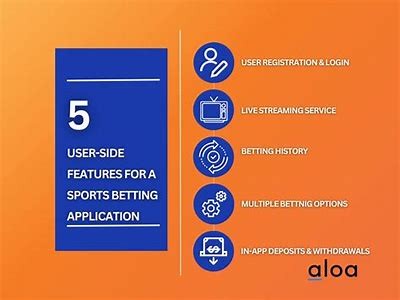 Comprehensive Review of the Willbet Sportsbook App Features and User Experience