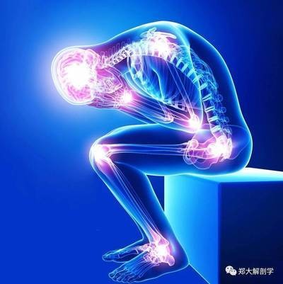 hawkins撞击试验