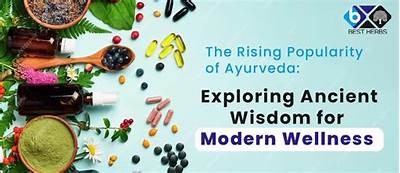 Exploring the Timeless Wisdom of Athena: Ancient Insights for Modern Living