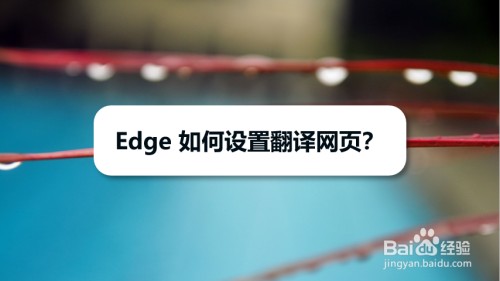 edge翻译页面