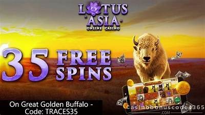 Maximize Your Winnings with Exclusive Willbet Casino Bonus Codes for 2023