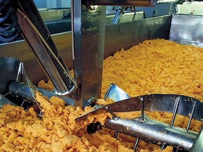 Exploring the Journey of Cheese Production: From Dairy Farms to Your Plate
