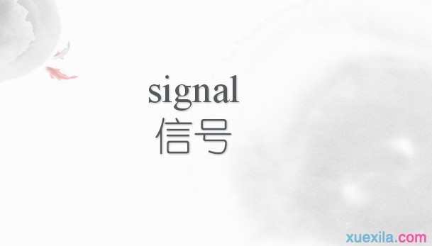 翻译signal