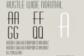 hustlewidenormal英文下载