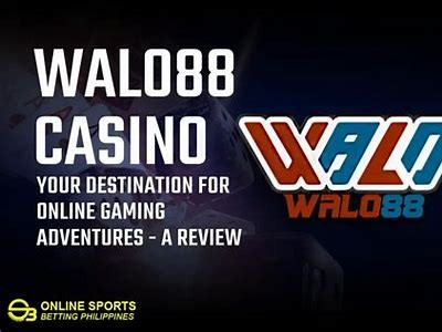 Explore the Exciting World of zz77 Casino: Your Ultimate Guide to Online Gaming Adventures