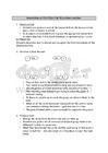 engaging activities